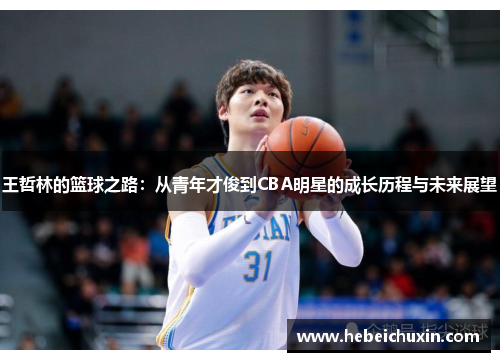 王哲林的篮球之路：从青年才俊到CBA明星的成长历程与未来展望