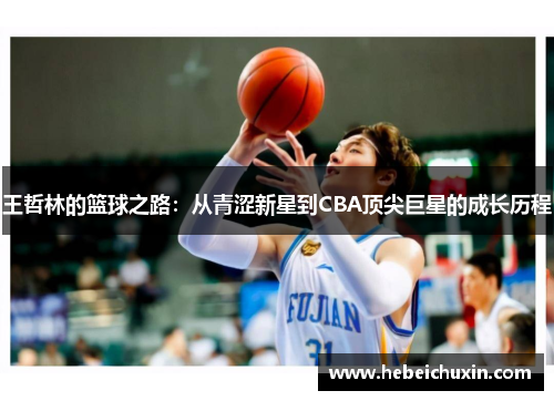 王哲林的篮球之路：从青涩新星到CBA顶尖巨星的成长历程